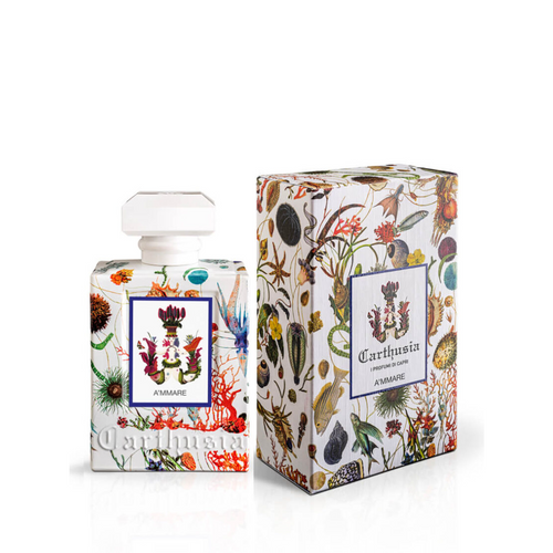 A´mmare EdP