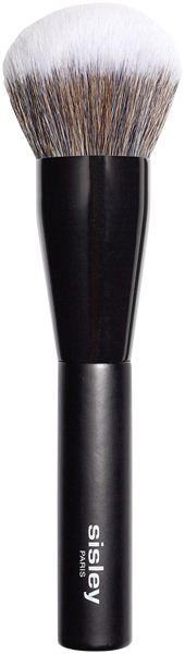 Pinceau Poudre