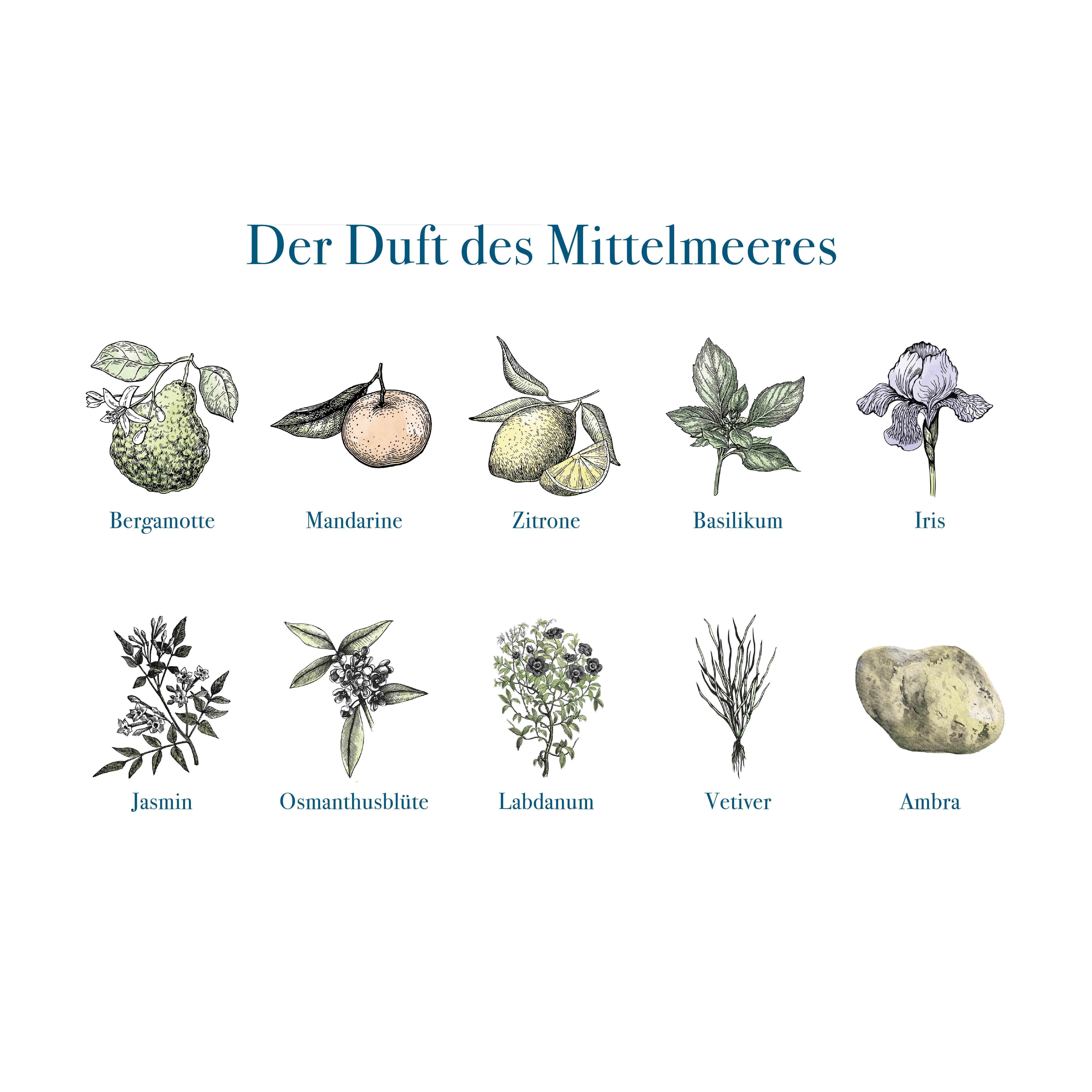 Image of MARE Düfte
