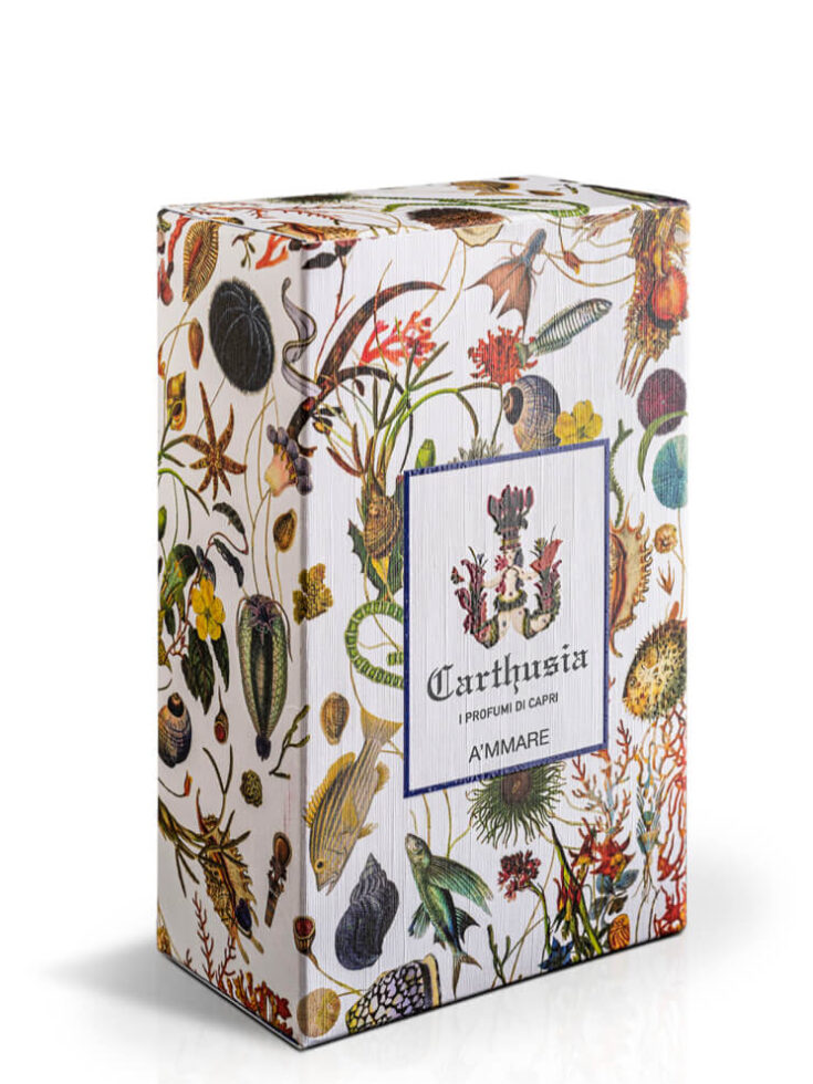 A´mmare EdP