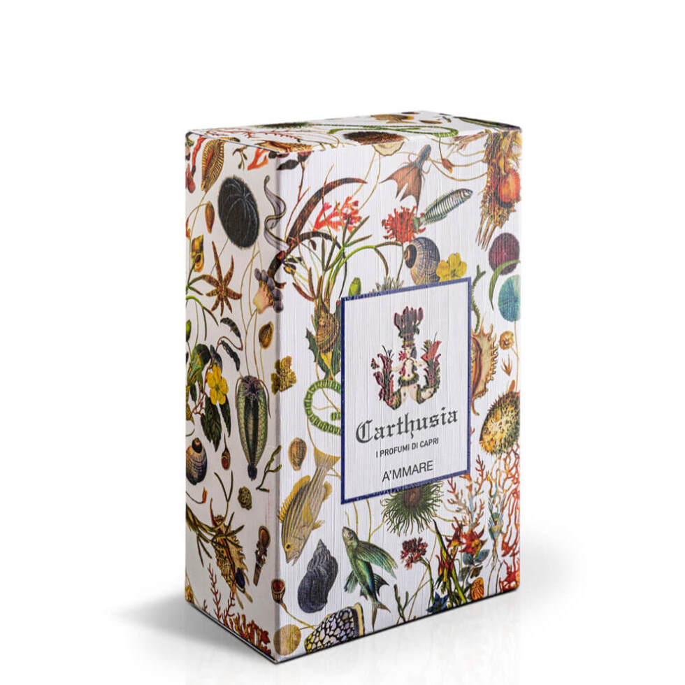 Image of A´mmare EdP