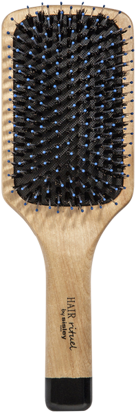 Image of The Brush