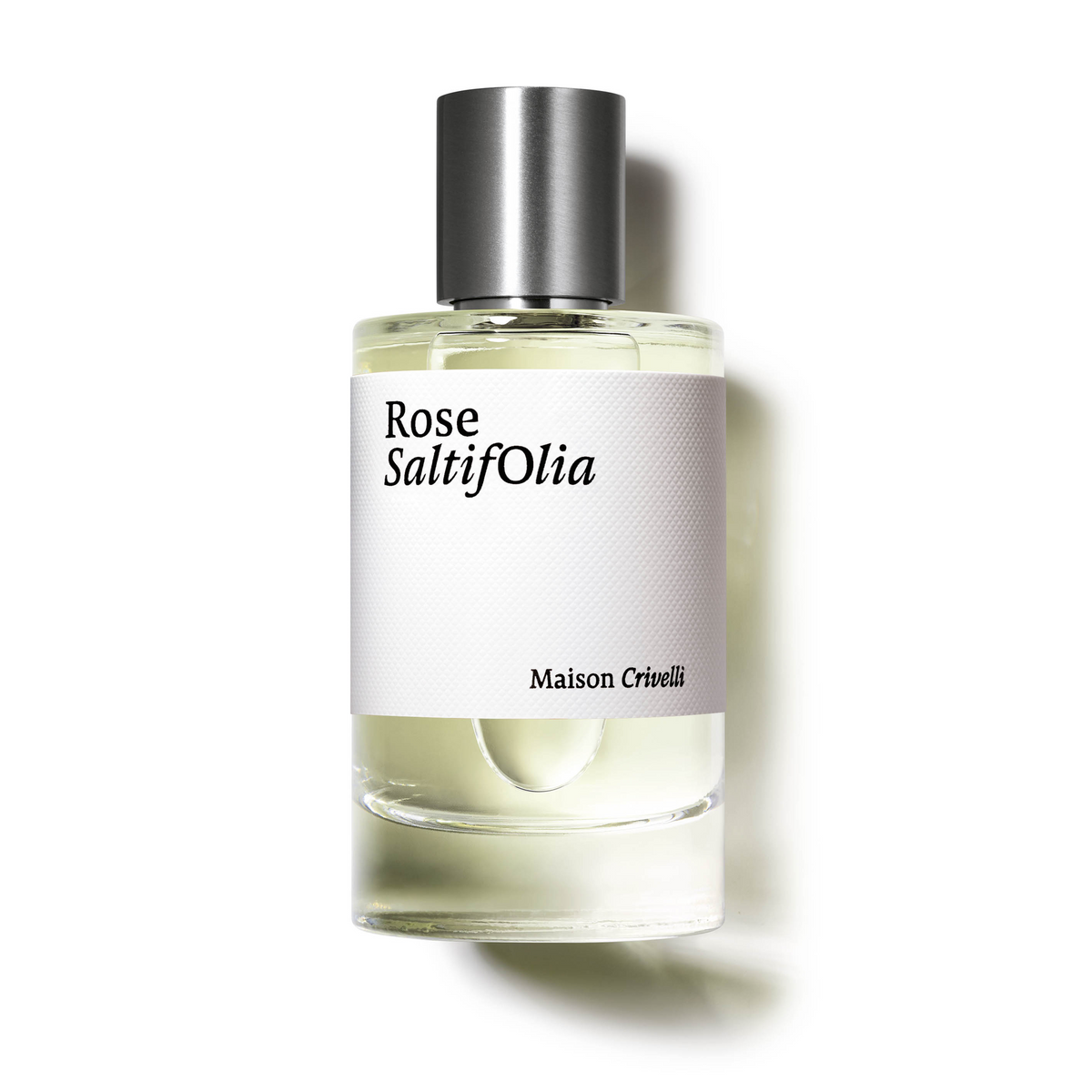 Rose Saltifolia E.D.P. Nat. Spray