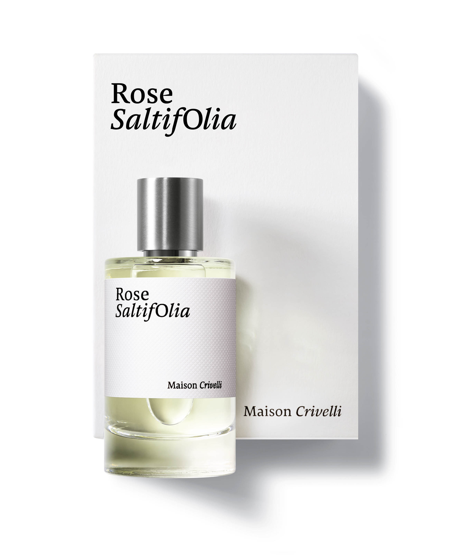 Rose Saltifolia E.D.P. Nat. Spray