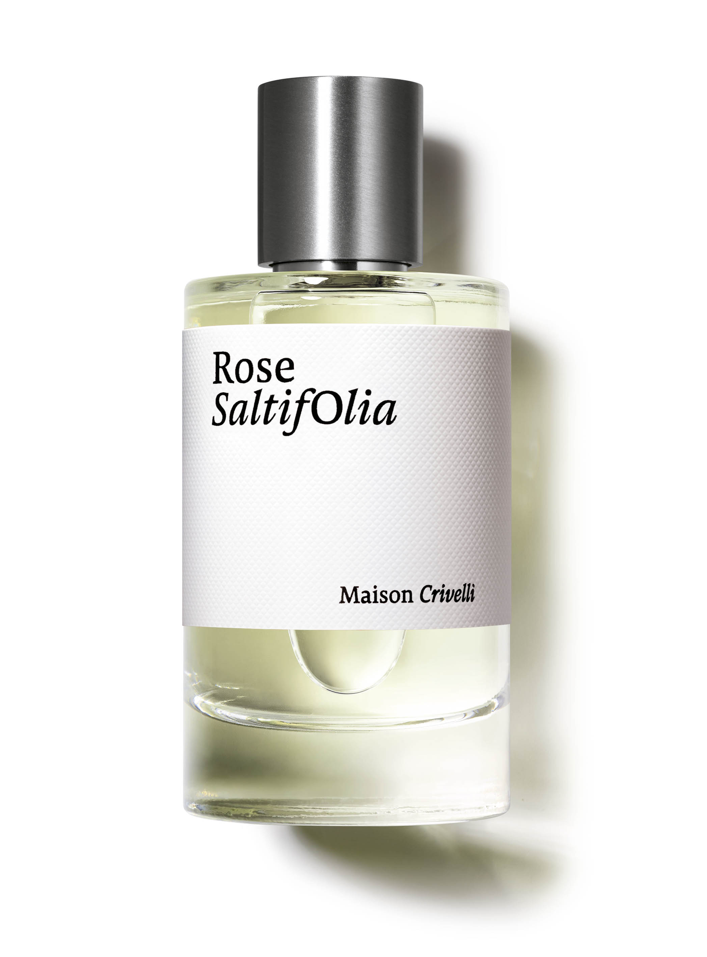 Rose Saltifolia E.D.P. Nat. Spray