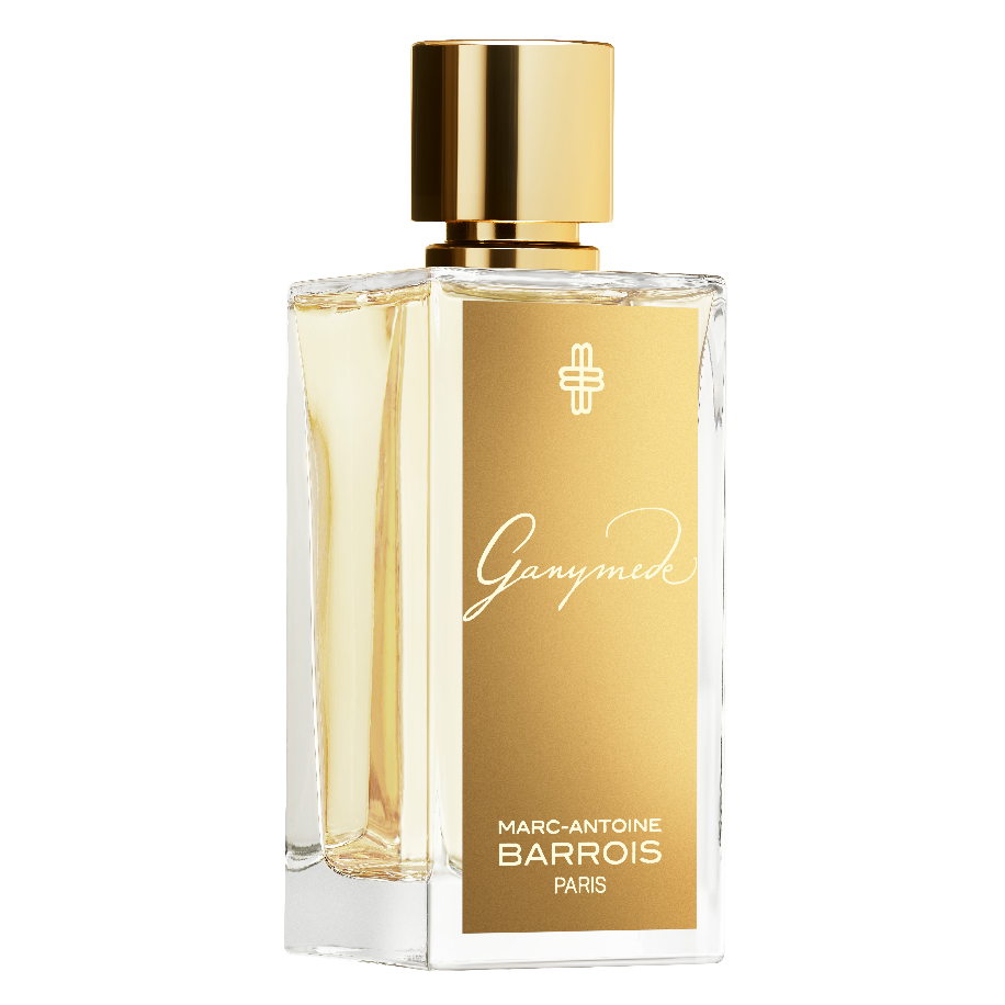 Image of Ganymede edp