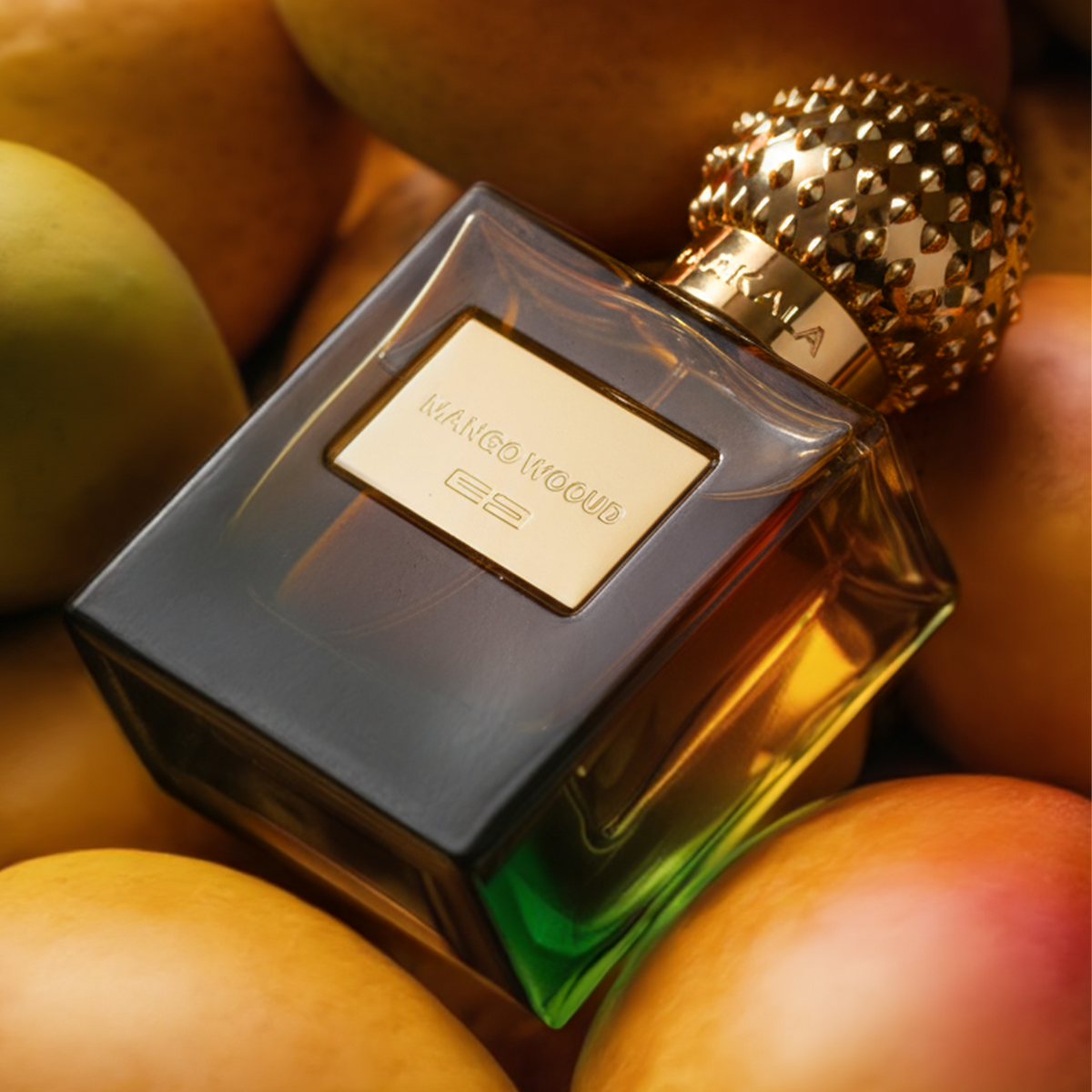MANGO WOOUD Extrait de Parfum