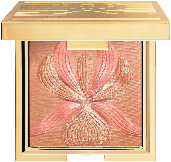 Highlighter Blush