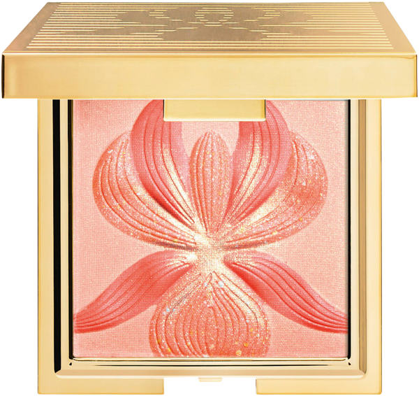 Highlighter Blush