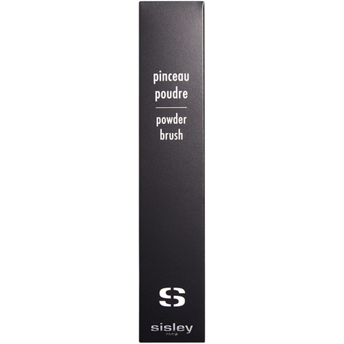 Pinceau Poudre