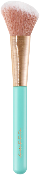 Angled Blush Brush