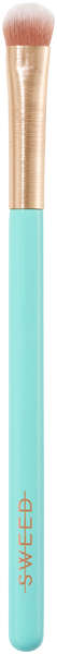 Eyeshadow Brush
